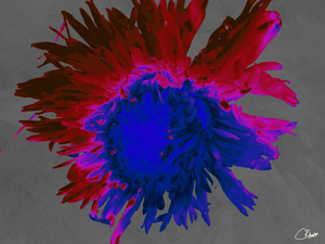 Darker Distressed Neon Heatwave Chrysanthemum