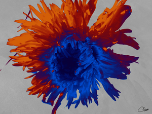 Darker Blue Neon Heatwave Chrysanthemum 