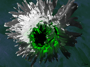 Darkly Distressed Fiery Chrysanthemum