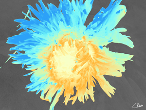 Lighter Neon Heatwave Chrystheamum