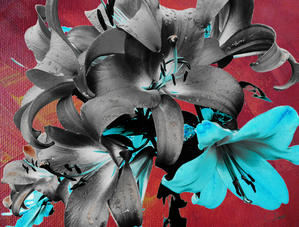  Darkly Inverted Poster Colour Lilies