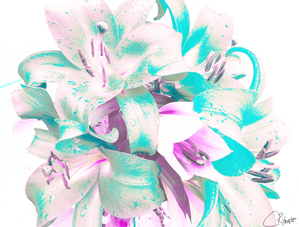 Delicate Poster Lilies