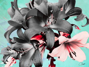 Poster Colour Lilies on a Green Background