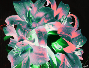 Dark Rainbow Poster Lilies