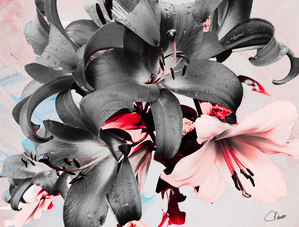 Poster Lilies on a Poster Background