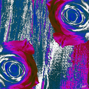 Abstract Magenta Roses on an Abstract Background