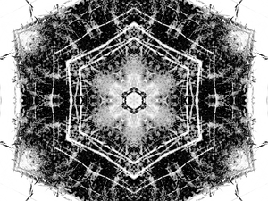 Abstract Black and White Long Grass 