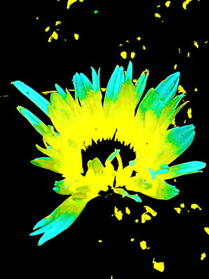 Abstract  Impressions of a Neon Illuminated Daisy Flower 