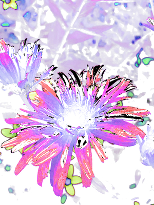 Abstract Pink and Purple Glowing Summer Daisy Flower