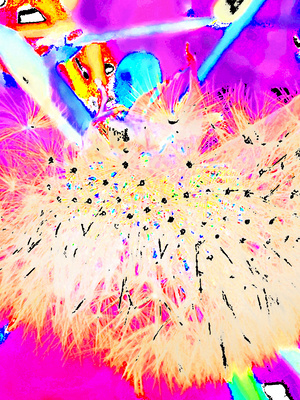Abstract Vibrant Ethereal Dandelion Seeds