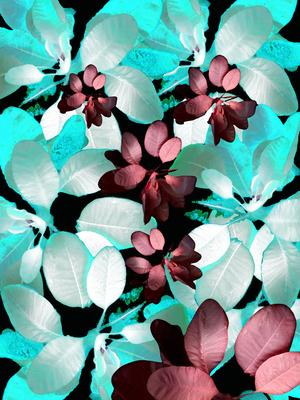 Abstract Coloured Leaves