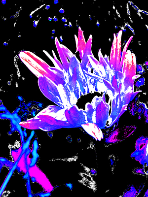 Abstract Psychedelic Daisy Flower