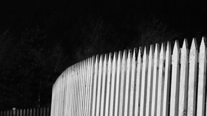 Everyday Lifes Moments - The Fence 
