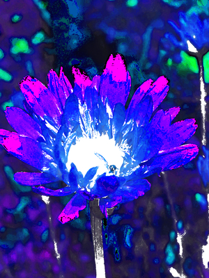 Abstract Impressionistic  Vibrant Illuminated Daisy Flower