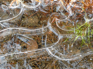 Abstract Ice Patterns