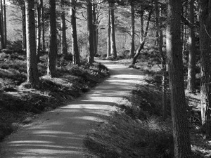 Natures Light and Shadow in the Scottish Highlands