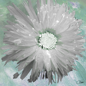 Paler Silver Turquoise Daisy on a Green Abstract Background