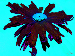 Abstract Distressed Burgundy Daisy Flower on a Turquoise Background 