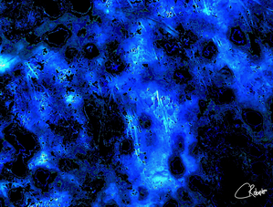 Blue and Turquoise Tree Through Raindrops on a Window