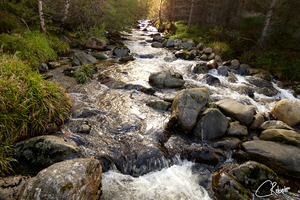 Autumnal River of the Scottish Highlands