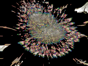 Smeared Sunflower in Dark Monochrome