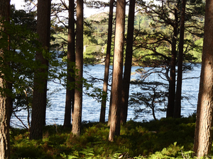  Lochside View 