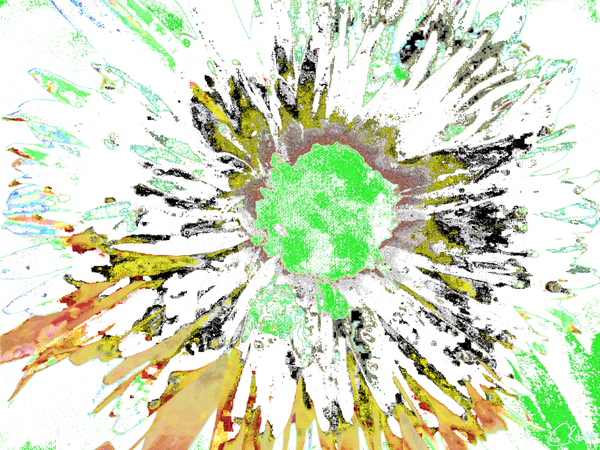 Abstract Neon Green Colour Blast Daisy Flower on an Abstract Background Print