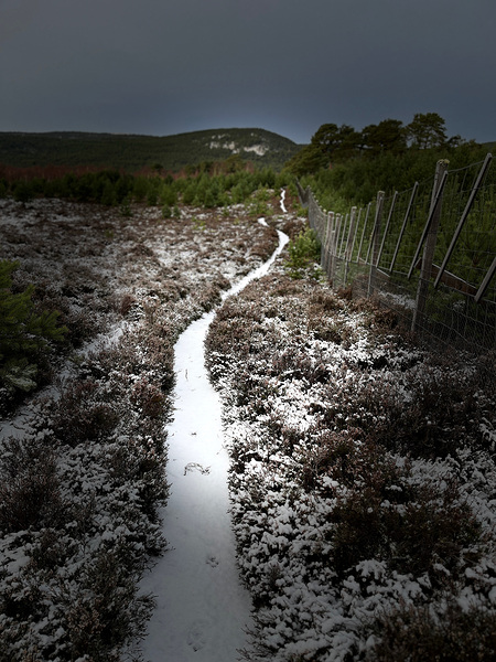 Scenes from the Trail- Snowy Path Print