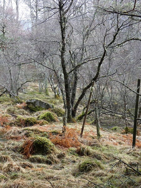 Scottish Highlands Winters Longing Print