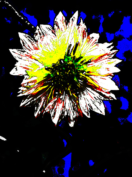 Abstract White and Yellow Flower  Print