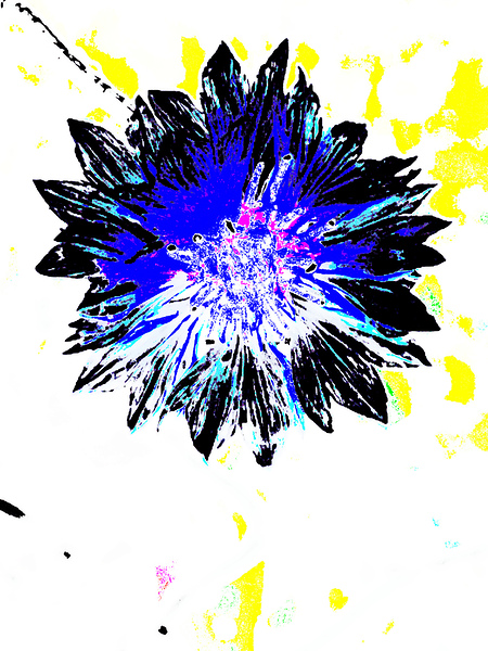  Abstract Blue and Black Flower  Print