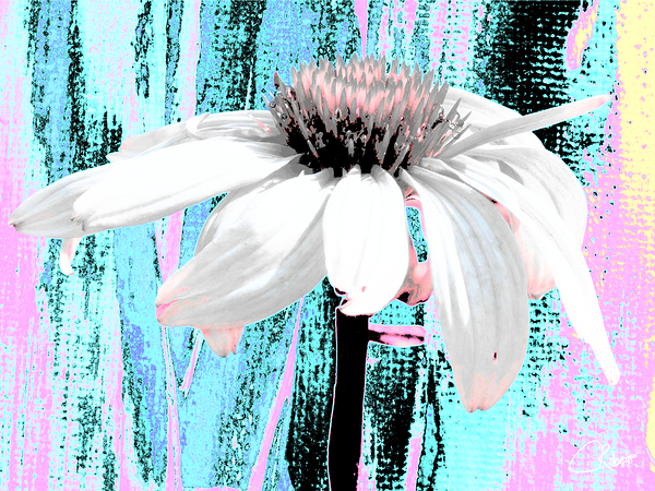 Vibrant Abstract Cone Flower Print