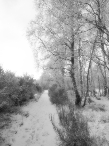 Winter Snow in the Scottish Highlands  Print