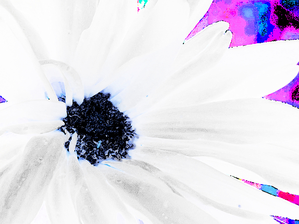 Abstract Contrasting Daisy Print