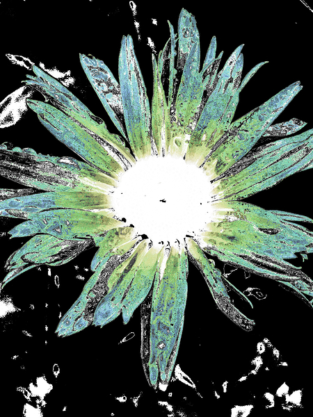 Abstract Vibrant Green and Blue Daisy Flower Print