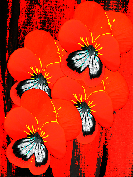  Abstract Red Pansy Bouquet  Print