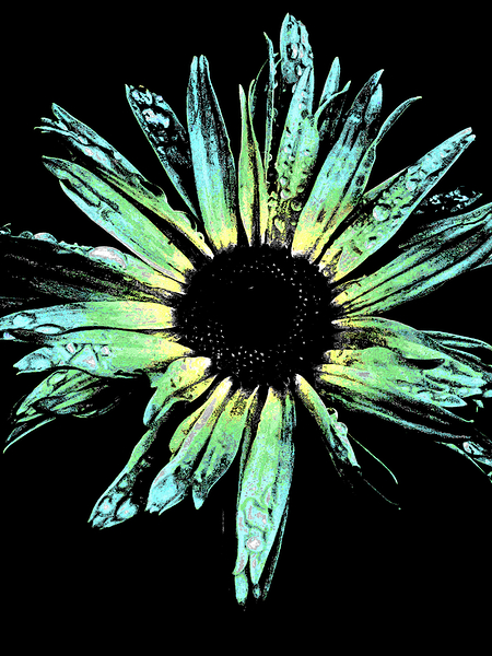 Abstract Vibrant Green and Yellow Daisy Flower Print