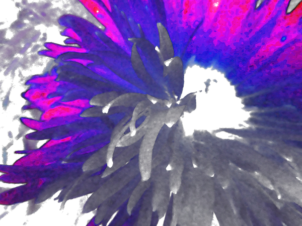 Abstract Vibrant Energetic Daisy Print