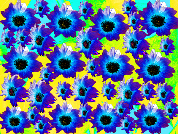 Abstract Vibrant Turquoise Sunflowers Print