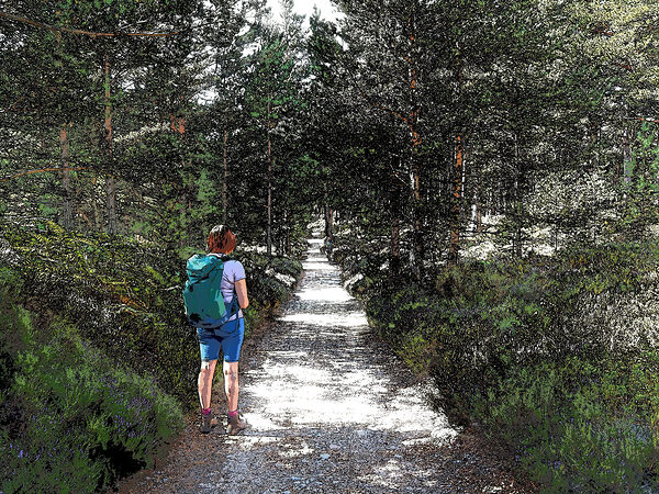   Trail Walking in the Scottish Highlands                                                                                                                    Print