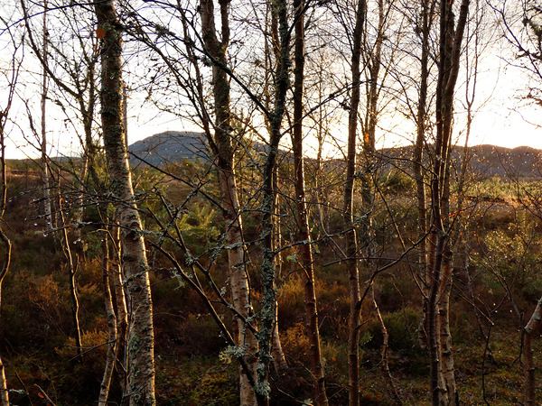 Scottish Highlands Winter Sunlight Print