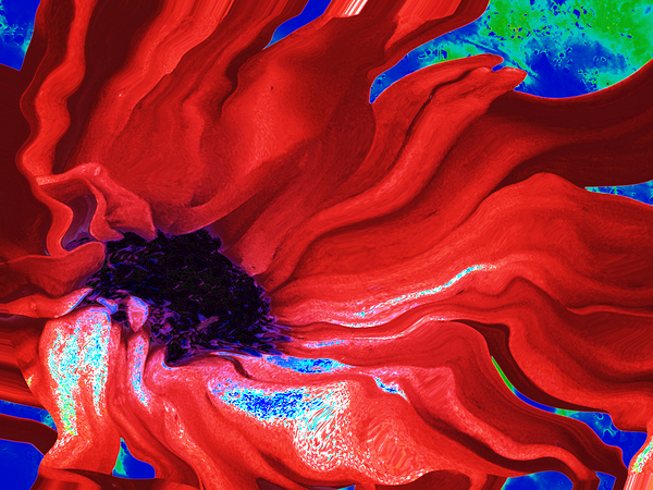 Abstract Dark Centred Red Flowing Daisy Flower Print