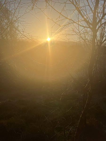 Winters Sunrise in the Scottish Highlands Print
