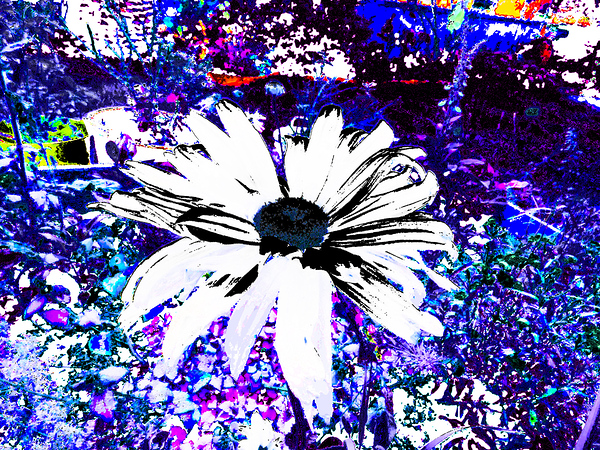 Abstract Psychedelic Surreal Daisy Flower Print