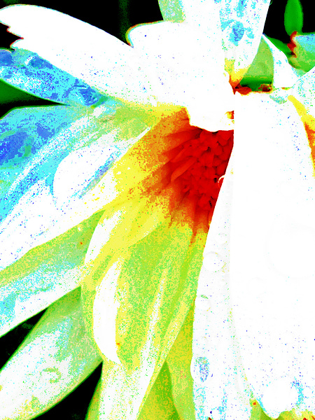 Abstract Textured Daisy Flower Print