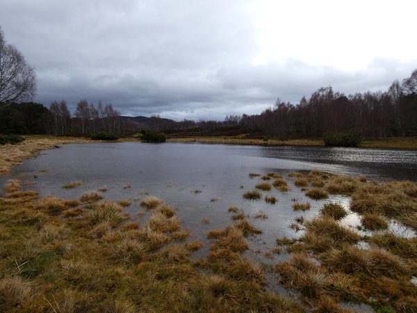 Winters Moody Scottish Highlands  Print