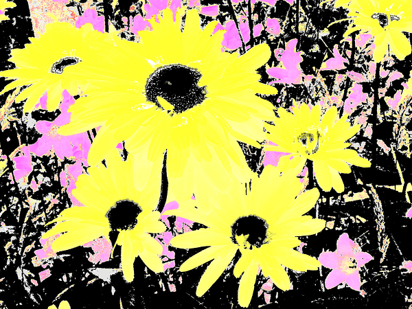 Abstract Daisy Garden Print