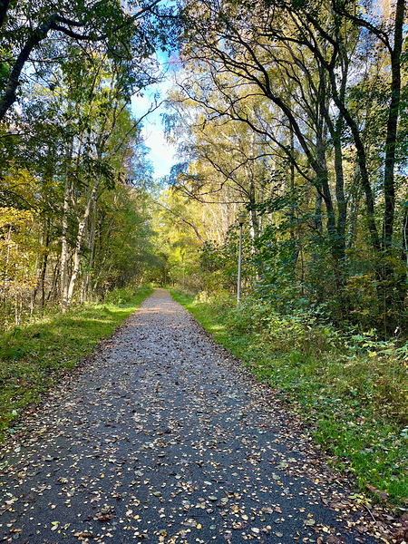 Scottish Highlands Autumn Walk Print