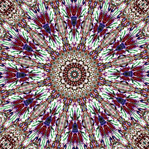Abstract Kaleidoscope Mandala Pattern Red and Blue Print