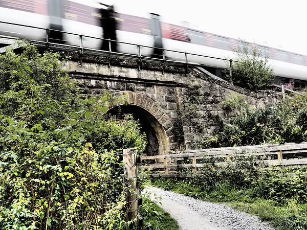 Scottish Highlands High Speed Train and Bridge                                                                                                                      Print